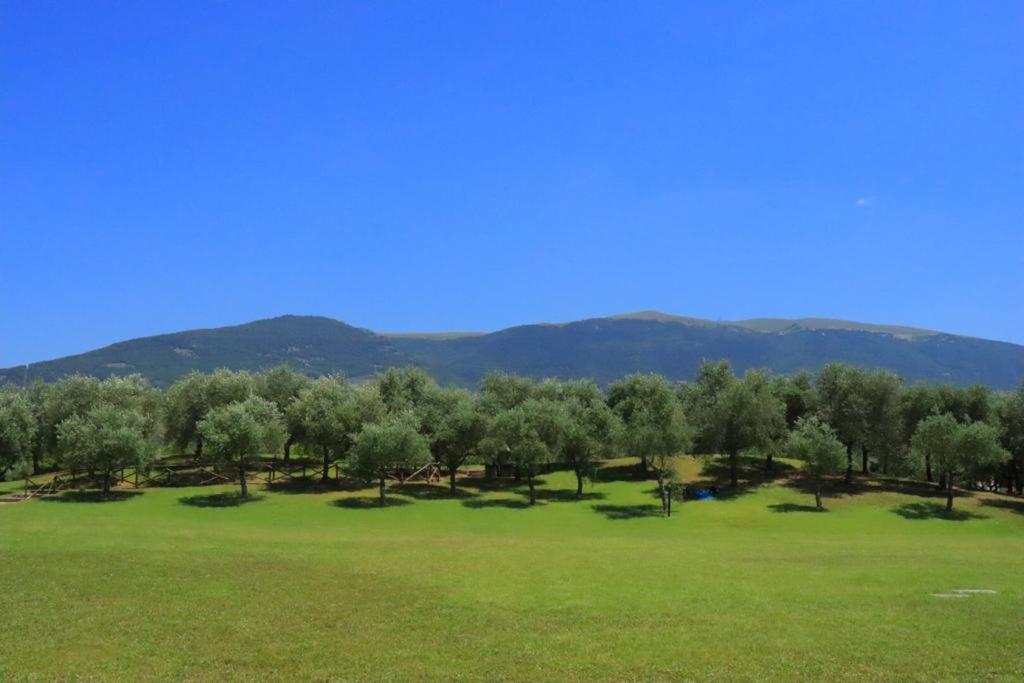 ريفيوتورتو Agriturismo Il Casale Di Monica المظهر الخارجي الصورة